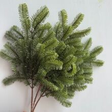 ?����ѷʥ�� ���� ŵ���� ��Ҷʥ����װ�ο羳ʥ������