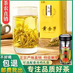 正宗黄金芽茶叶2025年新茶安吉春茶特级白茶绿茶250g礼盒装黄金茶