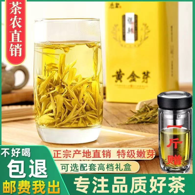 2026 Golden Bud Tea Loose Leaf Tea Anji Spring Tea White Tea Green Tea New Tea 250g Gift Box Special Grade for Personal Consumption
