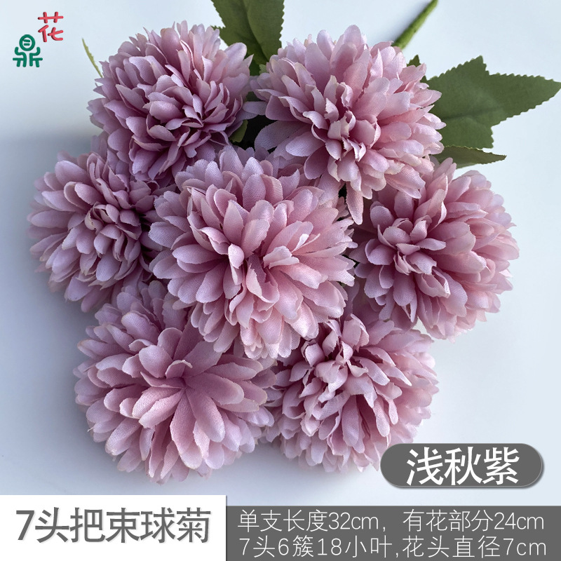 7-국화 빛 가을 보라색 머리 무리