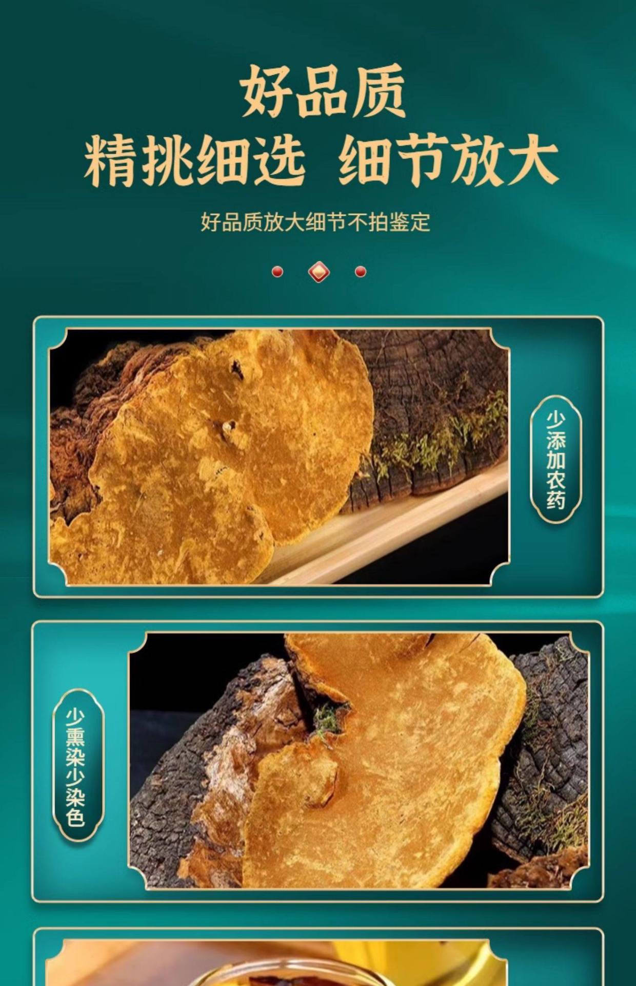 Wild Sanghuang Mushroom Tea Chunks 500g Tibetan Phellinus Whole Piece Herbal Decoction key features