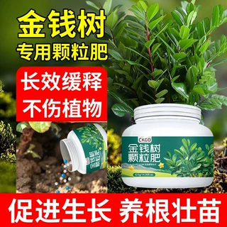 CKGO金钱树专用缓释肥改善黄叶绿叶生根家庭园艺肥料工厂一件代发