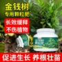 绿叶黄叶家庭ckgo缓释肥