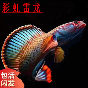 ���k�����~�^�p�~��ˮ�~�Ꭷ�����~�߲��~��ˮ���w�ʺ������~ꖹ�