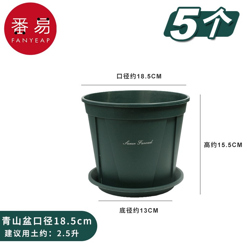 Upper diameter 18.5cm 5 pieces