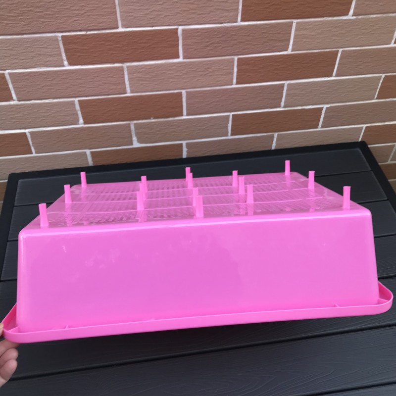 ◆핑크 단층(상부 그리드)