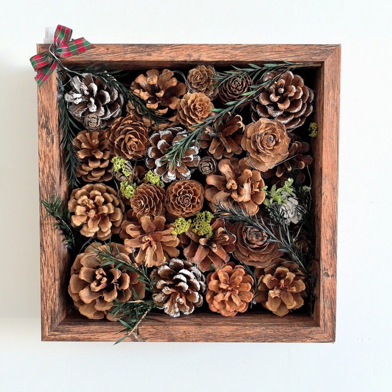 Three-Dimensional Hollow 4cm Photo Frame Ornaments, High-End Pinecone Plant Specimens, Large Size Wall-Mounted Framed Paintings, Empty Frames Three-Dimensional Hollow 4cm Photo Frame Ornaments, High-End Pinecone Plant Specimens, Large Size Wall-Mounted Framed Paintings, Empty Frames