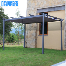 �����ͤ���Ѽ��X�Ͻ�������������e������껨�@ͥԺ��������