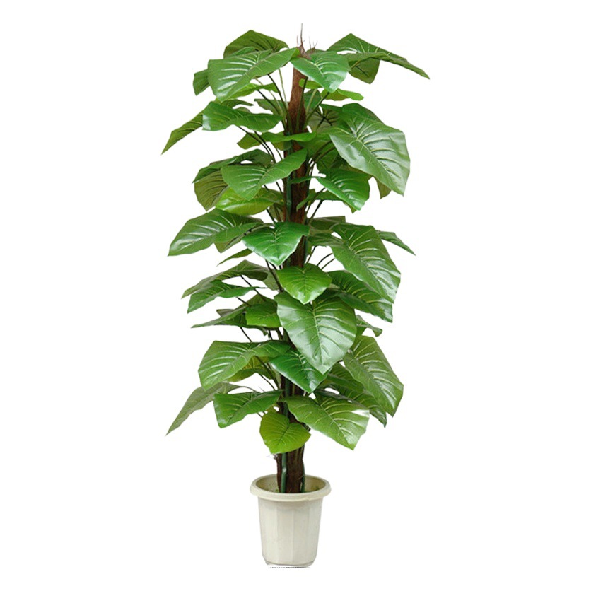 FUENTE Fábrica al por mayor de la planta de simulación árbol 63 Paquete de hojas Goteo marrón Guanyin rábano verde de hoja perenne planta verde árbol falso