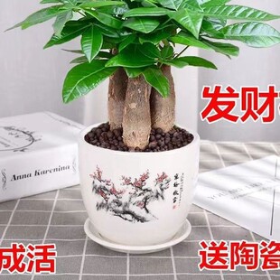 �lؔ���҃�С���ԾGֲ����ˮ��ֲ��G�}�����k��������͏d��ȩ