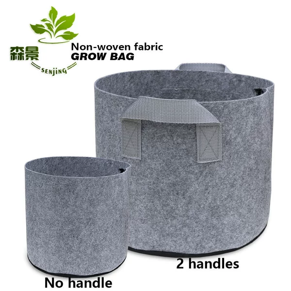 Gray (gray)