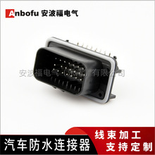 ECU ����Դ������ˮ������ͷ�������Ӳ��23�׺�����76087-1 20