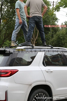 for Yuan PLUS – Aodesai Roof rack