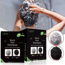 跨境Black Hair Dye 染发剂外贸英文版泡泡染发膏盖白发染膏工厂