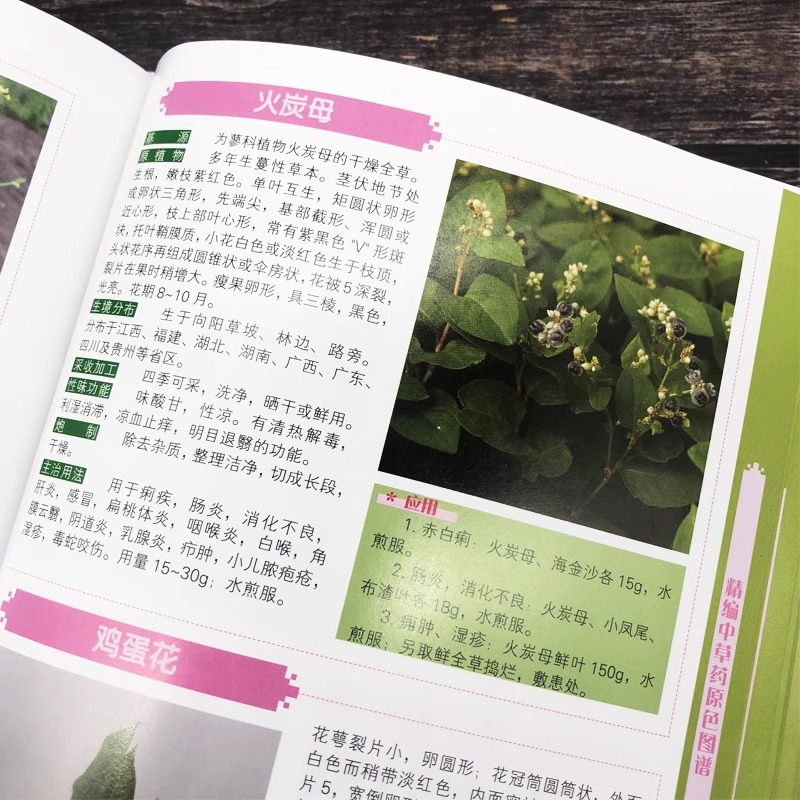 Refined Chinese Herbal Medicine Primary Color Map Medicinal Efficacy Common Therapeutic Herbal Identification Application Primary Color Picture Book