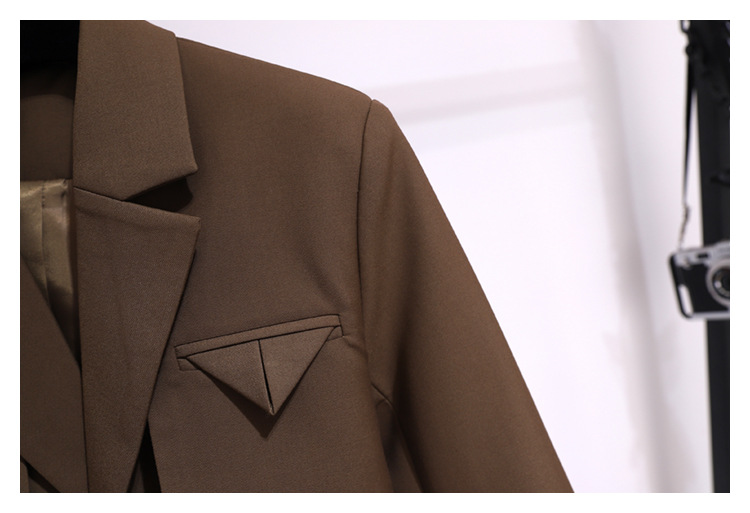 Coupe-vent pour femme, nouveau haut de style coréen, petite veste chic de couleur café, costume haut de gamme pour femme, printemps et automne_voghion.com