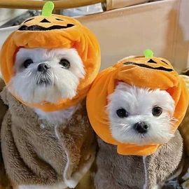 狗狗服装;猫猫服饰;狗狗玩具