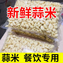 蒜米批发去皮大蒜头饭店餐饮商用粒脱皮大蒜子肉剥皮蒜瓣采购跨境