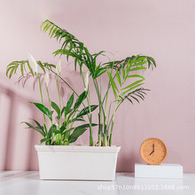 ����ʿ�S��ֱ����ʽ�L�������҃ȼ�ͥ�N�������҃��̨�ش��߲���