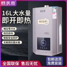 家用燃氣熱水器12升16升天然氣零冷水燃氣熱水器恆溫強排式熱水器