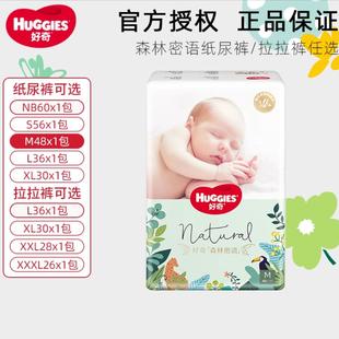 ����ɭ�����Z����ѝ���LѝNB-XXXL�ߴa���x����͸��