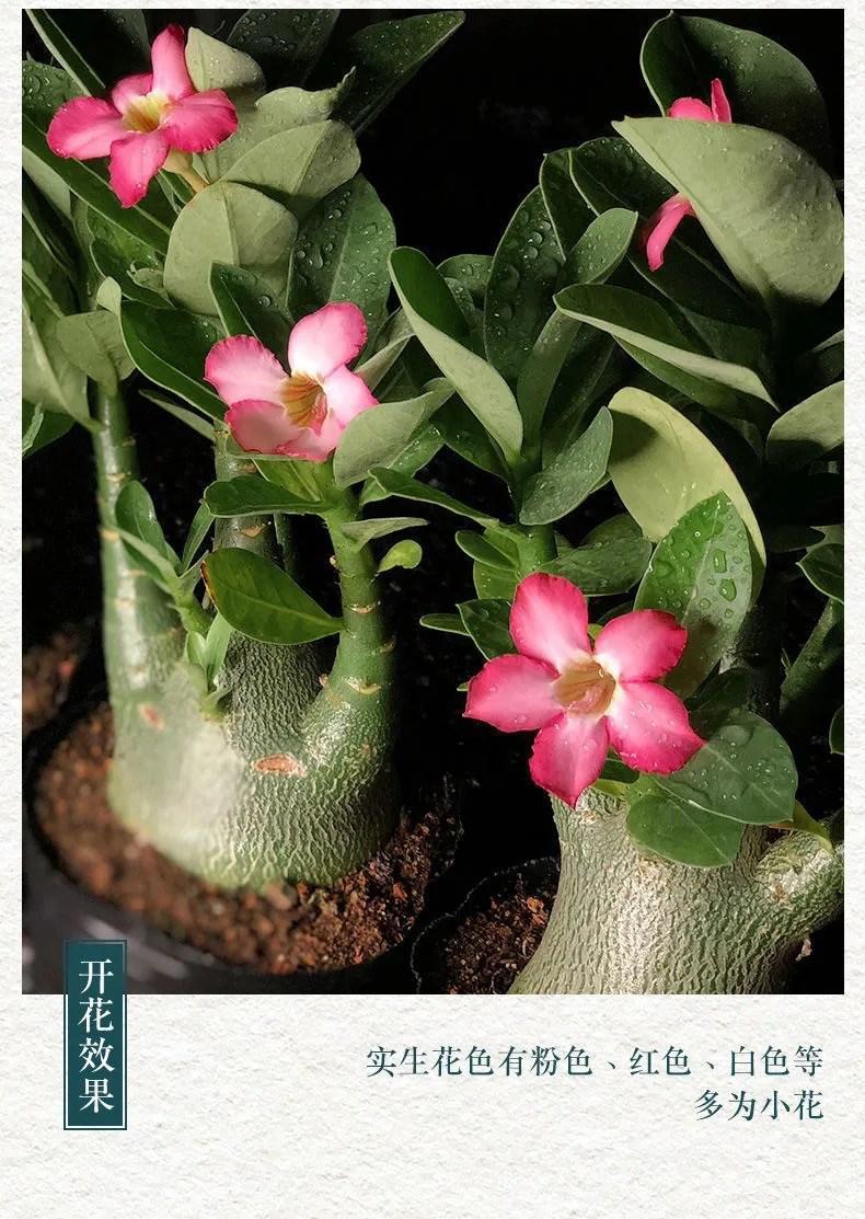 41610c93-acff-4837-81ac-2eaf8ed71991.jpe