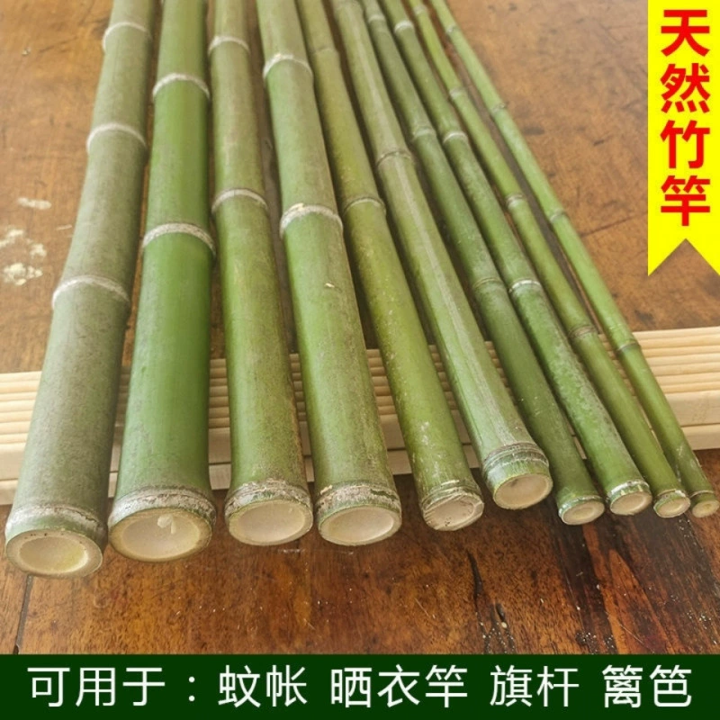 Бамбуковая бамбуковая палка Натуральный бамбук тонкий бамбук свежий бамбуковый столб Зеленая бамбуковая балконная сушильная палочка [Производитель]
