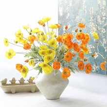 ���滨��ڻ��Ҿ�װ�ξ������װ������Ӱ������ڻ�����������
