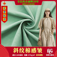 2025新产品砂洗仿棉斜纹布料工装裤连衣裙棉衣风衣宠物服国风面料