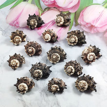 ��Ȼؐ�����ݺڴ��ݺ��R�ݼľ�з��Q���C�~��ˮ���쾰�[���˱�