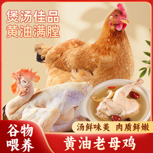 �F���S����ĸ�uȫ������ĸ�u���b���l���r�ך���ĸ�u