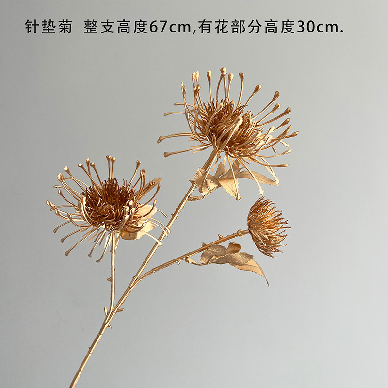 핀 쿠션 국화
