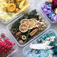 永生风干花DIY手工原材料包浮游滴胶混装礼盒森系沙龙幼儿园彭锐
