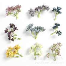 ����Gֲ ��ֲ�ﻨ��diy���ϼҾ��b��쾰��cֲ��b廨ˮ��