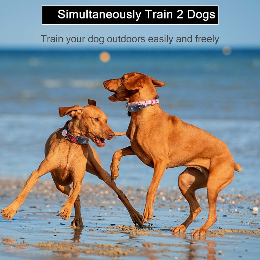 680训狗止吠器一拖二