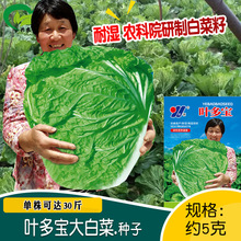 ~ײ˷N rˈ@߲ļNֲ偲˴ײ