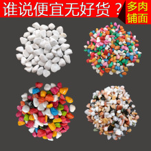 ������ɫСʯ�^�������ʯ�ӻ���С��ʯ�廨ʯ�@ˇ�˻��˻�