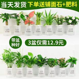 �Gֲ���Ի����҃Ⱥ��B�lؔ���k��������d�ӻ��G�}ˮ��Сֲ�����