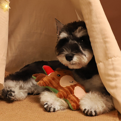 New Pet Plush Talking Christmas Series Chew-resistant Cute Cartoon Dog Toy Wholesale
