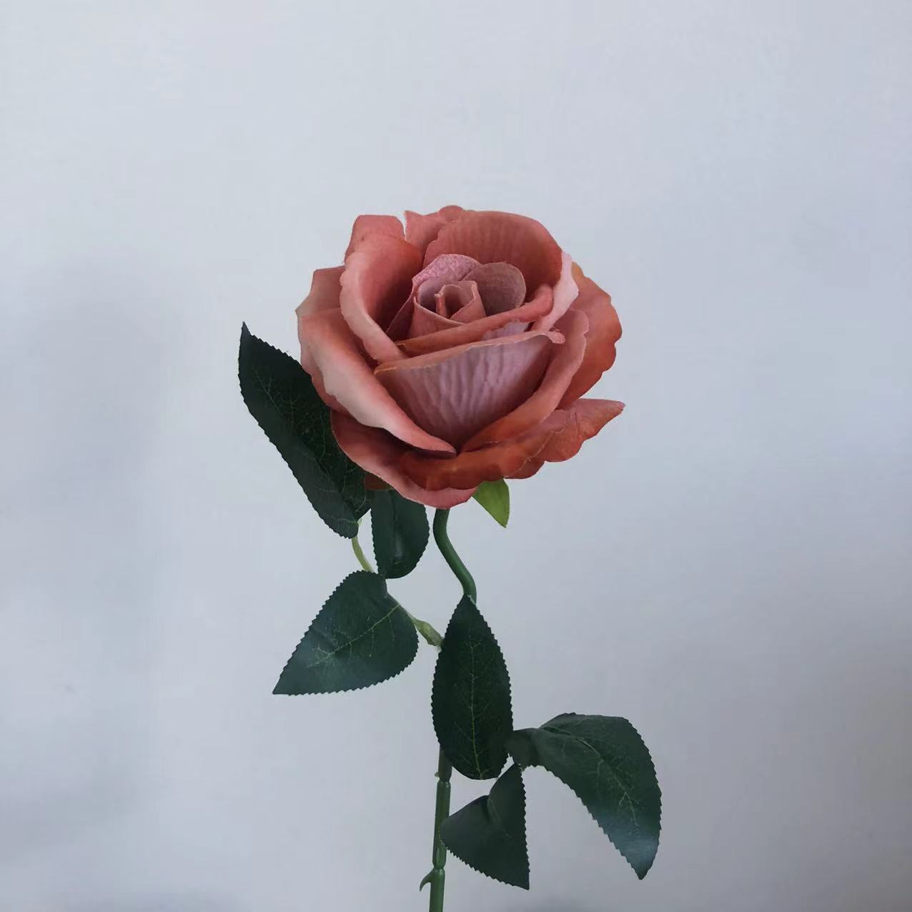 밝은 오렌지색