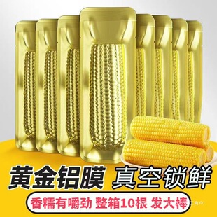 ���]�|��10Ŵ����2025�������������հ��b���ʹּZ�°����S����