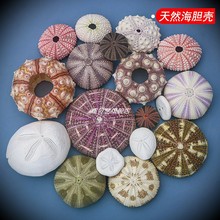 ��Ȼ��đ��ؐ�����݄���diy���ҹ�����к��b՚��P�滨�����l