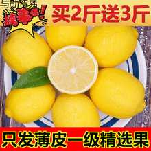 �����Ĵ������Sˮ��Ƥ�����S������خa���l