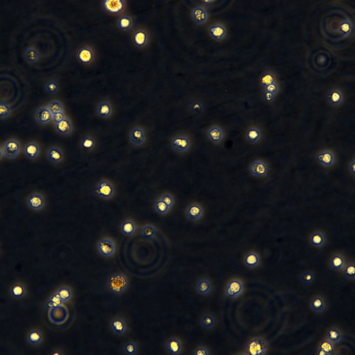 2025-11-05 15:38:00.jpg