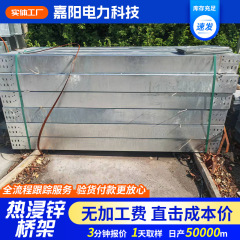 溶融亜鉛メッキケーブルトレイ耐火溶融亜鉛メッキ溝型はしご型スプレー塗装耐火ケーブルメタルトレイ