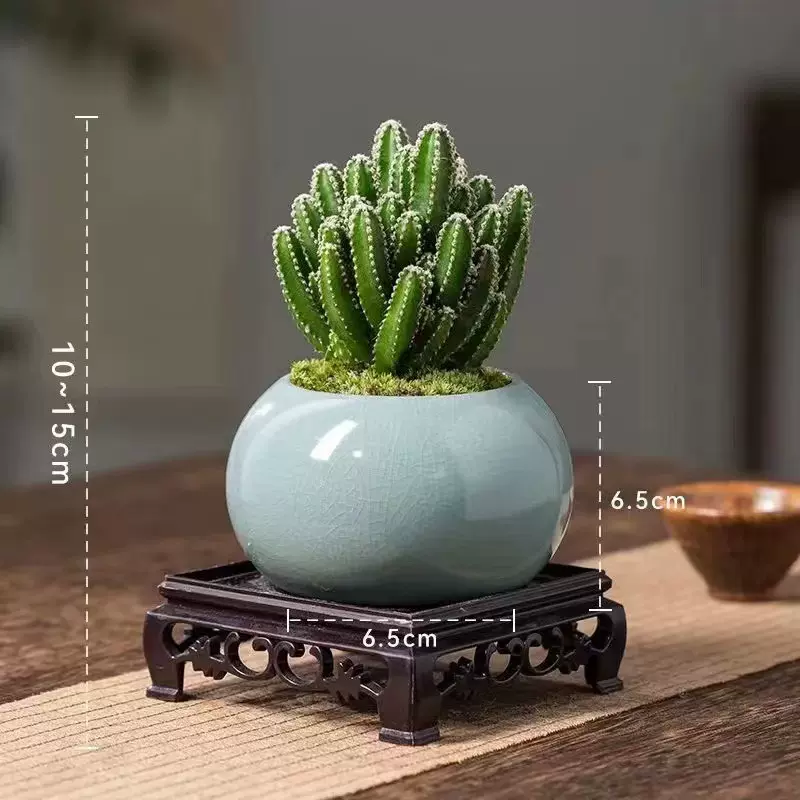 仙人掌盆栽万重山仙人球多肉植物花卉桌面绿植微室内办公室