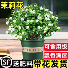 ���������Ԏ������������Ϙ����ˮ���d�ӻ��ܾGֲ���҃��ļ��_