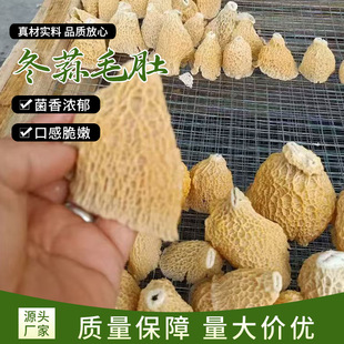 ���pë����ʳ��؛��ë�ǲ��ˬ���w��偸����ɫʳ��