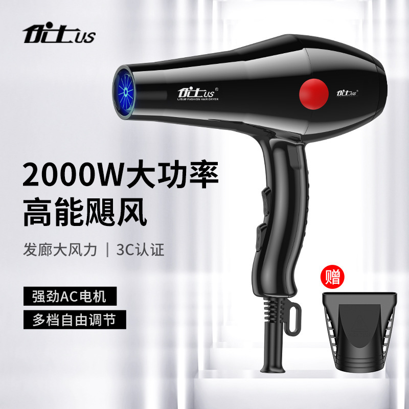 Youshi Hair Dryer Hair Salon Home Dormitory High Power Hair Dryer Large Wind Barber Shop Blue Light Hair Dryer Wholesale