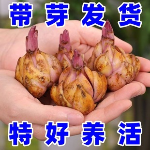 �M����ˮ�ٺϻ��N��ѿ�N���҃����ļ����ް��������ͺ�����ֲ��
